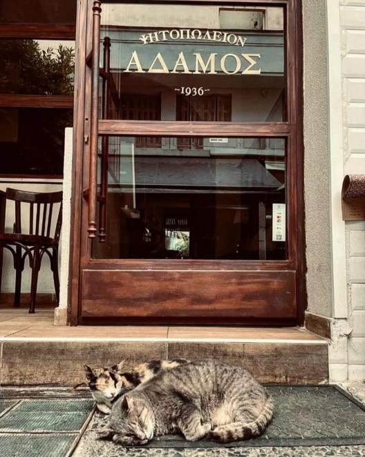 Αδάμος: Το ιστορικό ψητοπωλείο της Λάρισας