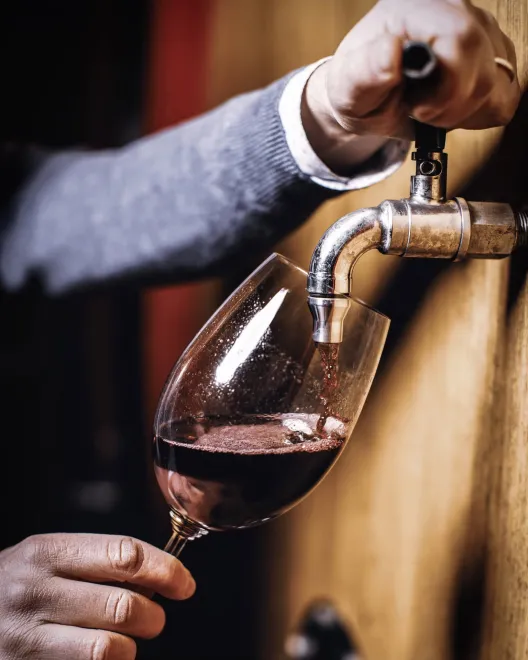 Garum: Ένα ξεχωριστό wine pairing με μενού έξι σταδίων και διεθνείς ετικέτες κρασιών στο Μετς