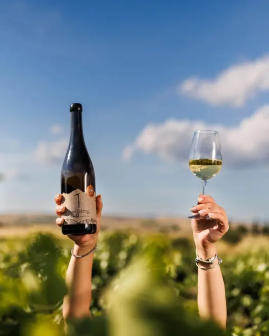 Artisanal Greek Wine Trail: Τα οινοποιεία που ανοίγουν τις πόρτες τους στις 7 και 8 Νοεμβρίου