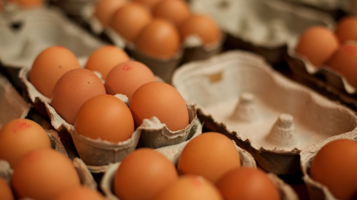 Όσα χρειάζεται να ξέρεις για την αγορά των αυγών σου