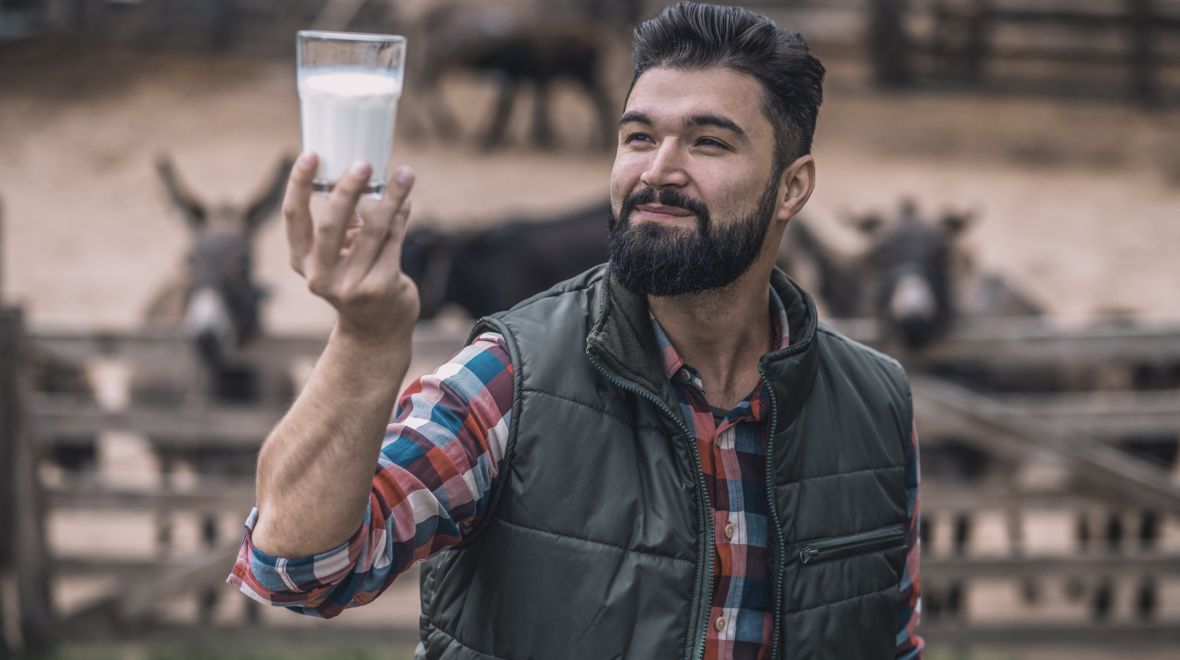 Γάλα γαϊδούρας στο Μέτσοβο