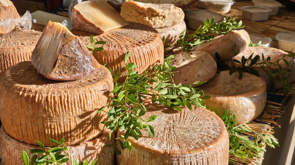 Τι είναι το casu marzu, το τυρί της Σαρδηνίας που είναι γεμάτο με σκουλήκια 