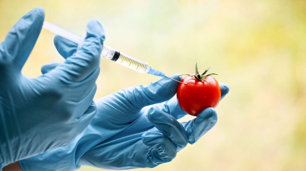 Μεταλλαγμένα τρόφιμα: Τι είναι και ποια από αυτά τρώμε 