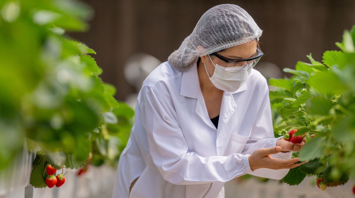 Τα φαγητά του μέλλοντος: Παράξενα, βιώσιμα και (ίσως) νόστιμα