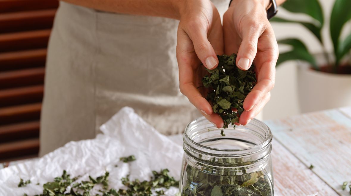 Ο σωστός τρόπος φύλαξης των βοτάνων: γιατί η αποθήκευση καθορίζει την ποιότητά τους