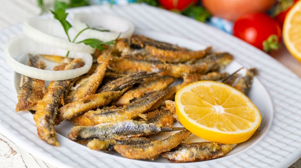 Τα ψάρια του Αιγαίου, τα χαρακτηριστικά και ποια εποχή τρώμε το καθένα