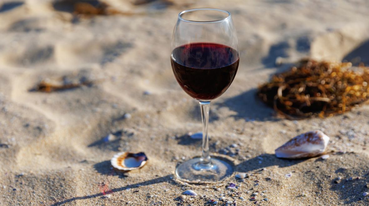 Pageo Wines Tasting 2026: Τα κρασιά του Παγγαίου συναντούν τη θάλασσα