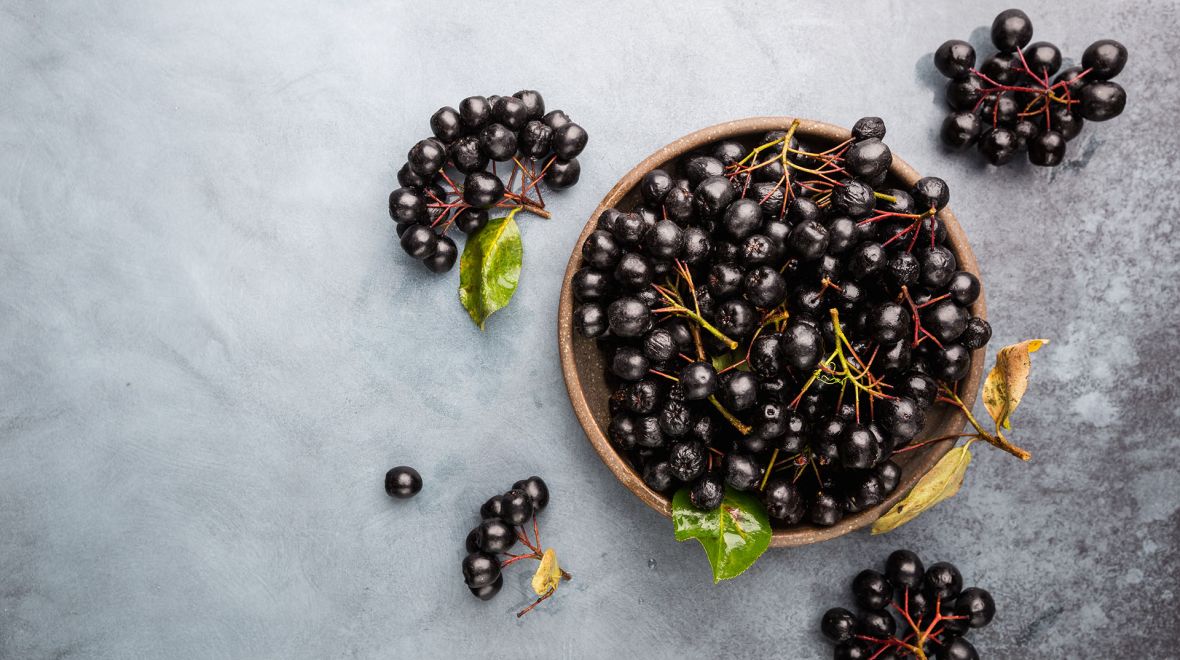 Αρώνια: Γιατί αυτό το μικρό μούρο θεωρείται superfood