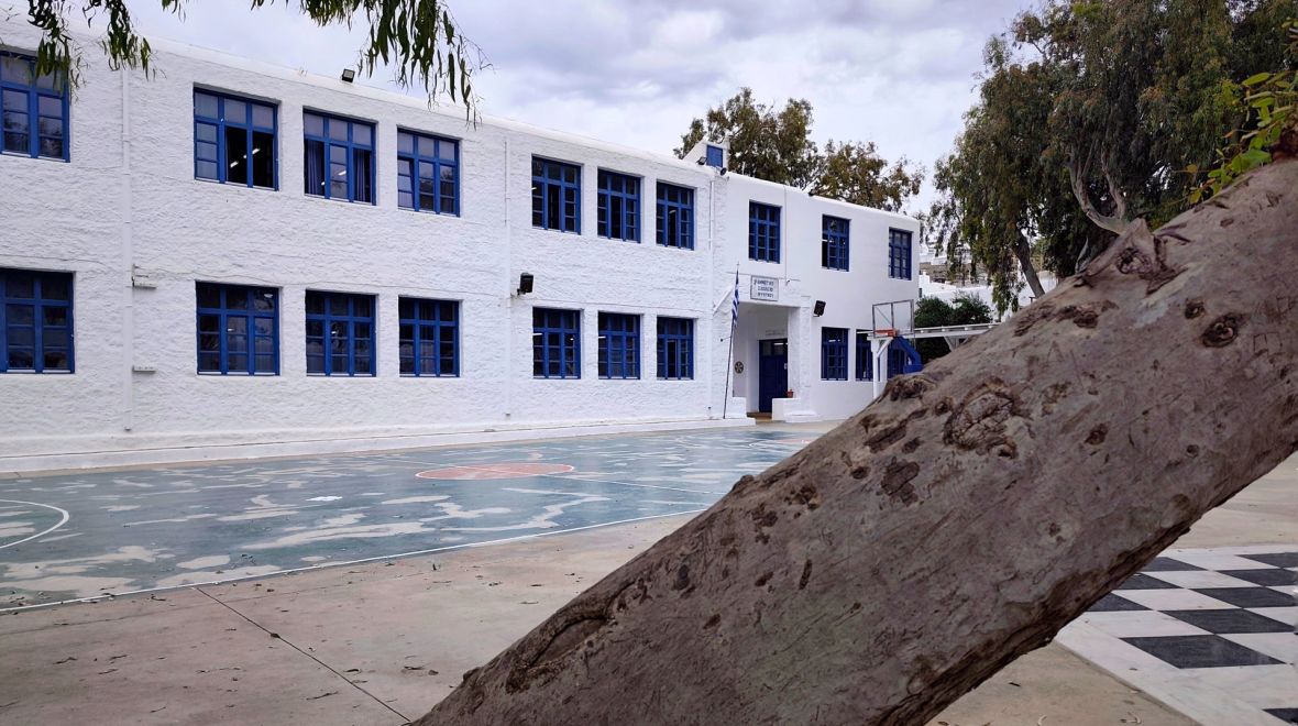South Aegean Open Farm Days 2026: Το σχολείο βγαίνει από την τάξη και γνωρίζει τον τόπο του