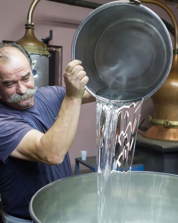 Όσα αξίζει να γνωρίζεις για το τσίπουρο και την τσικουδιά