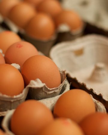 Όσα χρειάζεται να ξέρεις για την αγορά των αυγών σου