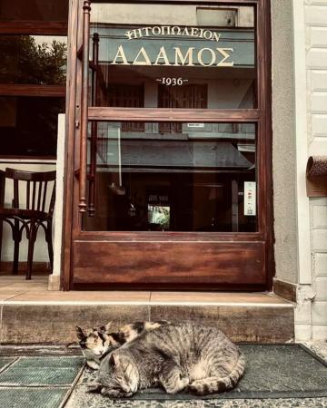 Αδάμος: Το ιστορικό ψητοπωλείο της Λάρισας