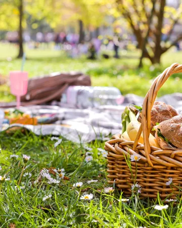 Picnic: 15 places in Athens that feel like a mini escape