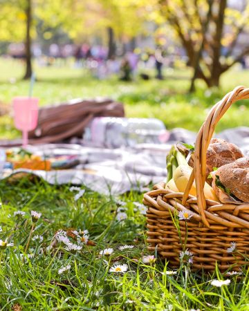 Picnic: 15 places in Athens that feel like a mini escape