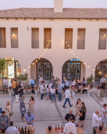 Messinia Terroirs Wine Festival Messinia Terroirs Wine Festival