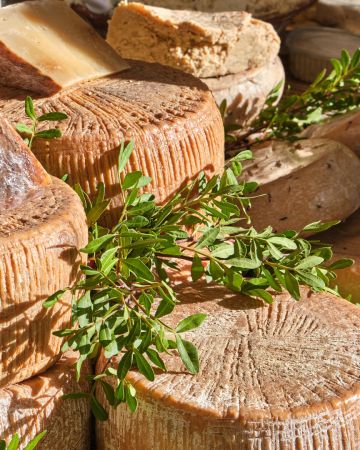 Τι είναι το casu marzu, το τυρί της Σαρδηνίας που είναι γεμάτο με σκουλήκια 