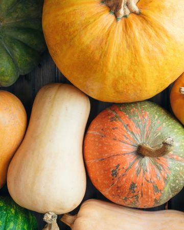 Πόσα είδη κολοκύθας υπάρχουν; Nαι, είναι πολλά