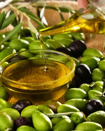 Κορυφαίοι στην Ισπανία οι ελαιώνες Σακελλαρόπουλου με 10 βραβεία στην κατοχή τους
