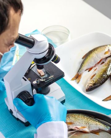 Ποια ψάρια να καταναλώνεις με μέτρο - Τι δείχνουν τα στοιχεία για τον υδράργυρο σύμφωνα με νέα μελέτη