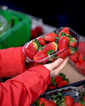 Choosing the best strawberries every time – what to look for