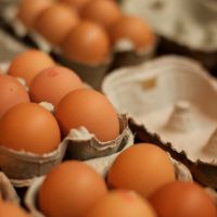 Όσα χρειάζεται να ξέρεις για την αγορά των αυγών σου