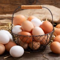 Διαφορά καφέ και λευκών αυγών