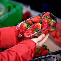 Φράουλες: Τι να προσέξεις όταν τις αγοράζεις 