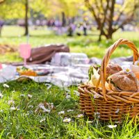 Picnic: 15 places in Athens that feel like a mini escape