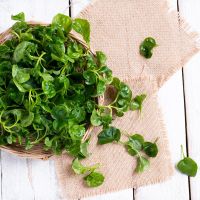 Νεροκάρδαμο: To λαχανικό που αναδείχθηκε ως το πιο υγιεινό στον κόσμο