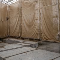 Φάρμες εντόμων: Είναι λύση για τη μείωση των απορριμάτων τροφίμων; 
