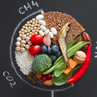 Πλανητική διατροφή: Τι είναι και πώς μπορεί να σώσει τον πλανήτη 