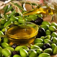 Κορυφαίοι στην Ισπανία οι ελαιώνες Σακελλαρόπουλου με 10 βραβεία στην κατοχή τους