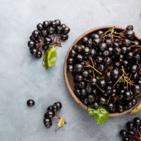Αρώνια: Γιατί αυτό το μικρό μούρο θεωρείται superfood