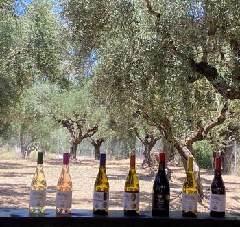 Messinia Terroirs: Οι οινοπαραγωγοί της Μεσσηνίας για πρώτη φορά στην Αττική