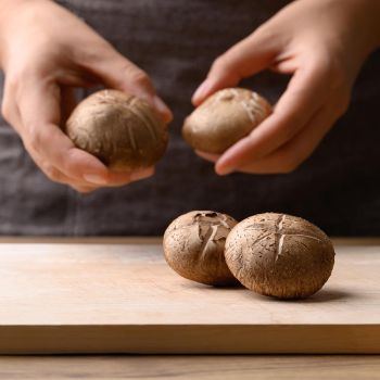 Μανιτάρια: Οι ποικιλίες τους και πώς να τα μαγειρέψεις