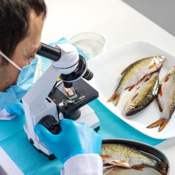 Ποια ψάρια να καταναλώνεις με μέτρο - Τι δείχνουν τα στοιχεία για τον υδράργυρο σύμφωνα με νέα μελέτη