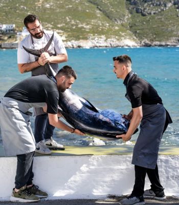 ViΩma: Ένα βιβλίο για τη θάλασσα, το χρόνο και τη μεταμόρφωση, του Μιχάλη Μάρθα 