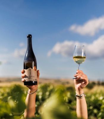 Artisanal Greek Wine Trail: Τα οινοποιεία που ανοίγουν τις πόρτες τους στις 7 και 8 Νοεμβρίου