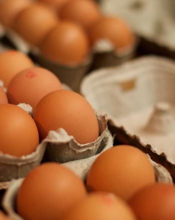 Όσα χρειάζεται να ξέρεις για την αγορά των αυγών σου
