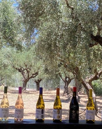 Messinia Terroirs: Οι οινοπαραγωγοί της Μεσσηνίας για πρώτη φορά στην Αττική