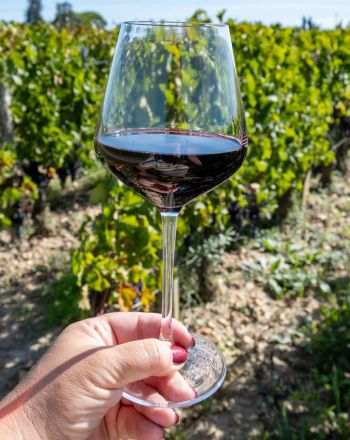 Cabernet Sauvignon