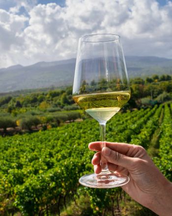 Φιλέρι: Πόσα ξέρεις για την ελληνική ποικιλία κρασιού της Μαντινείας;