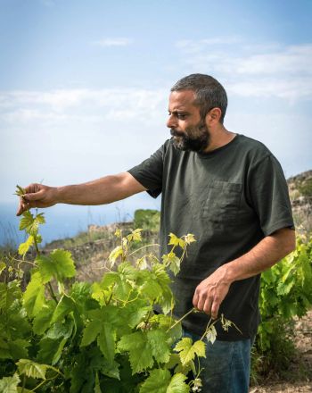 Νίκος Χατζάκης