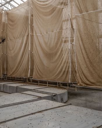 Φάρμες εντόμων: Είναι λύση για τη μείωση των απορριμάτων τροφίμων; 