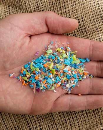 Το πραγματικό πρόβλημα με τα μικροπλαστικά δεν είναι στο μυαλό σου 