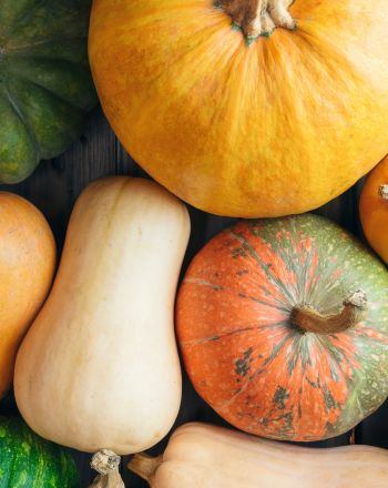 Πόσα είδη κολοκύθας υπάρχουν; Nαι, είναι πολλά