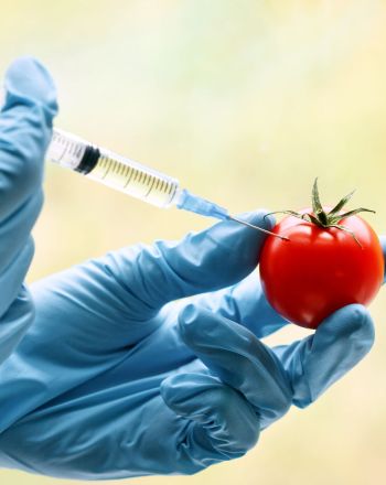 Μεταλλαγμένα τρόφιμα: Τι είναι και ποια από αυτά τρώμε 