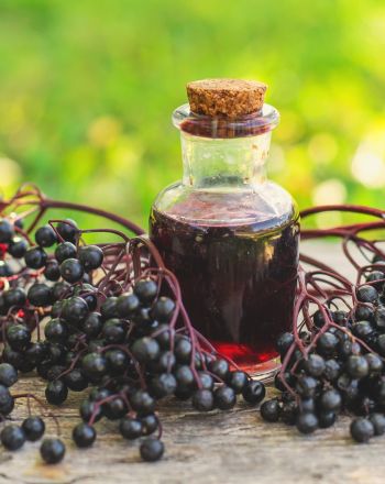 Σαμπούκος: Το μούρο που μπορεί να σε βοηθήσει στα συμπτώματα κρυολογήματος 