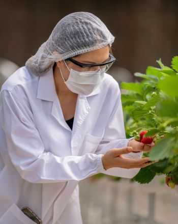 Τα φαγητά του μέλλοντος: Παράξενα, βιώσιμα και (ίσως) νόστιμα