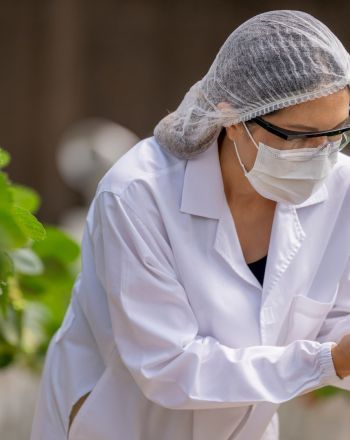 Τα φαγητά του μέλλοντος: Παράξενα, βιώσιμα και (ίσως) νόστιμα